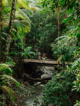 Gidjuum Gulganyi Walk, Scrub Creek Walking Track - Credit: Daniel Parsons