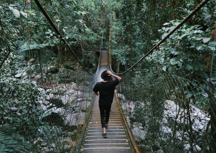 Woman enjoying the scenic walk by the Minnamurra Rainforest Centre in Budderoo National Park, South Coast