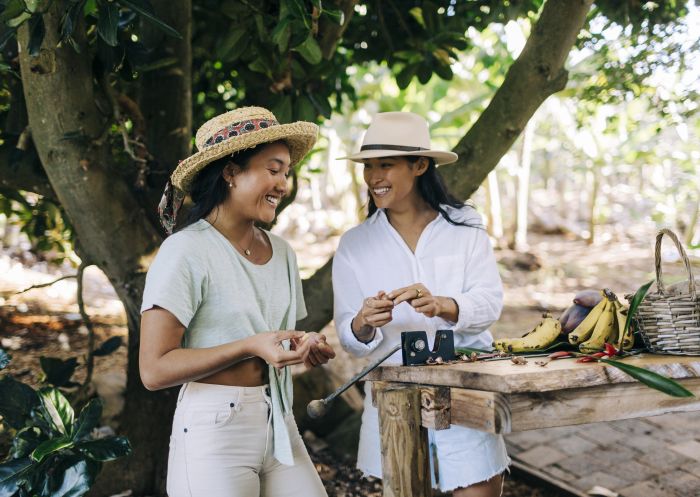 Women opening picked macadamia nuts at Tropical Fruit World, Duranbah in Tweed Area, North Coast