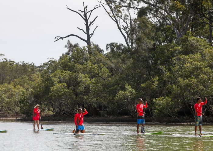 Wajaana Yaam Gumbaynggirr Adventure Tours, Moonee Creek에서 스탠드업 패들보딩 투어를 즐기는 그룹