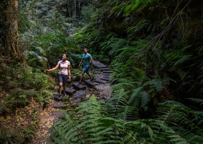グランドキャニオンウォーキングトラック、ブラックヒース ブラックヒースのグランドキャニオンウォーキングトラック沿いの景色の良い散歩を楽しむカップル