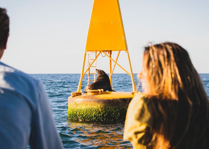 Couple enjoying a sightseeing tour with CoastXP in Newcastle waters, Newcastle
