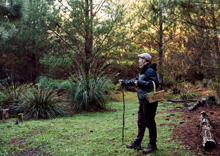 Professional mushroom forager Diego Bonetto on a Mushroom Foraging Workshop, Penrose State Forest 