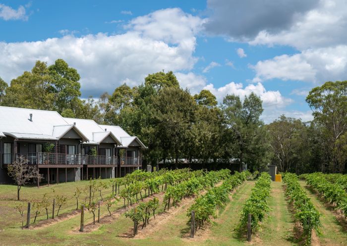 Scenic view of vineyard at Hermitage Lodge, Pokolbin