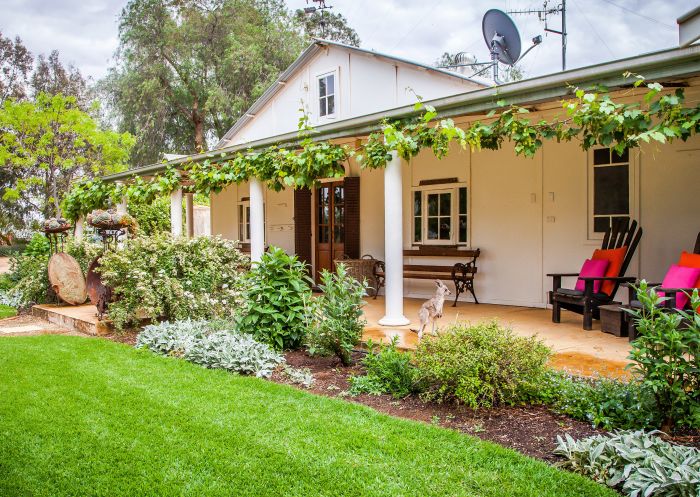 View of the gardens with a joey on the verandah at Corynnia Station, Carrathool
