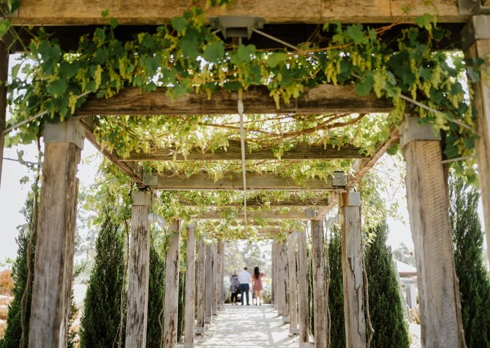 Piggs Peake Winery - Credit: Gez Xavier Mansfield Photography | Piggs Peake Winery