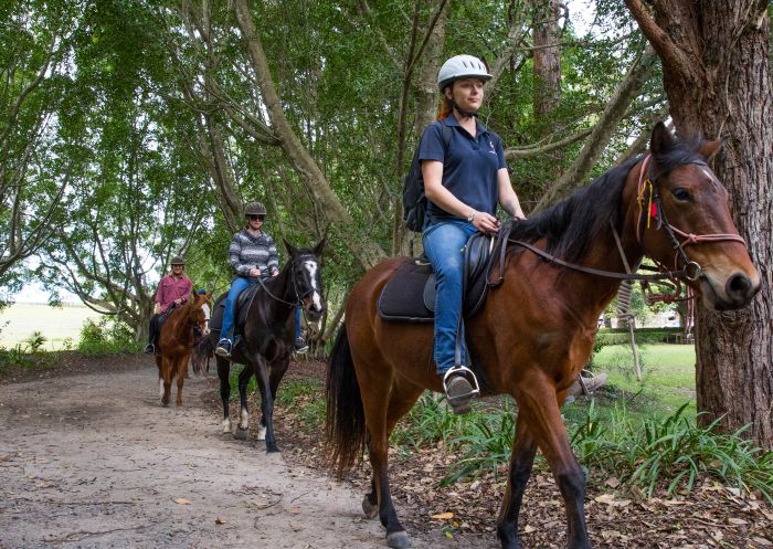 Small group enjoying a guided tour with the Port Macquarie Horse Riding Centre, Port Macquarie