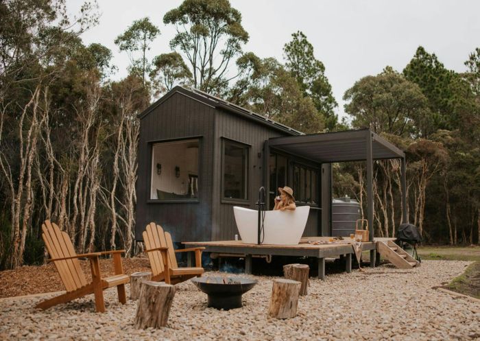 Tiny Lola at Into The Wild Escapes - Credit: Danielle Nieuwendyk | Into The Wild Escapes