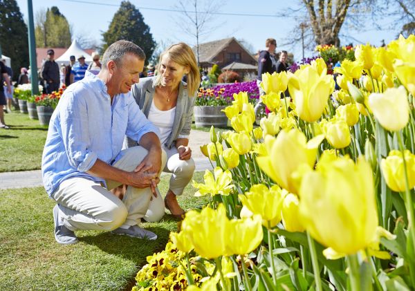 Tulip Time - one of Australia's oldest and leading floral festivals blooms, Bowral