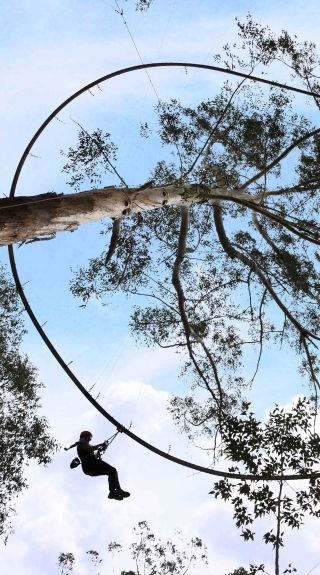 TreeTop Crazy Rider, Treetop Adventure Park - Wyong - Central Coast. Credit: Craig Golding