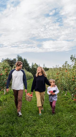 Family enjoying a day of apple picking at Shields Orchard, Bilpin
