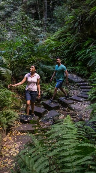 Grand Canyon Walking Track, Blackheath