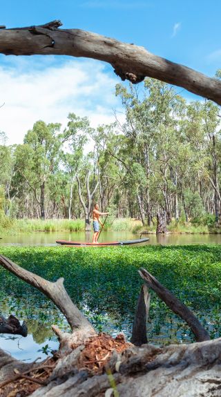 Man enjoying a paddle on the Murrumbidgee River, Narrandera