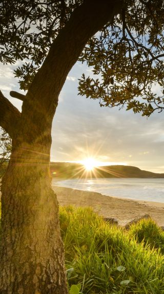 Sun rises over the horizon at Killcare Beach, Killcare in Central Coast