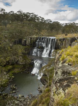 The scenic Ebor Falls in Guy Fawkes River National Park in Ebor, Armidale Area, Country NSW