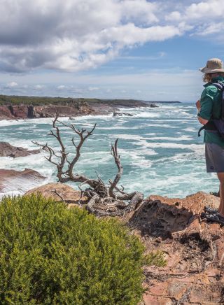 Light To Light Walk at Sapphire Coast, North COast