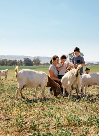 Hillview Farmstay - Credit: Cootamundra-Gundagai Regional Council