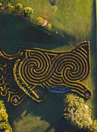 Bago Maze and Winery, Wauchope