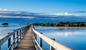 Urunga Boardwalk in Urunga, Coffs Harbour 