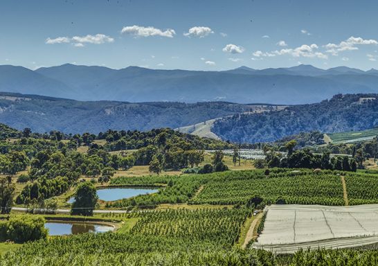 Batlow Countryside - Kosciuszko National Park