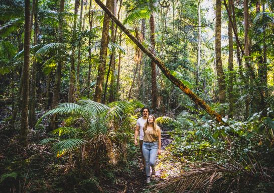 Couple enjoying a walk through Burrawan State Forest at Herons Creek in Port Macquarie, North Coast